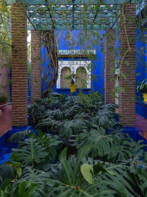 Jardin Majorelle