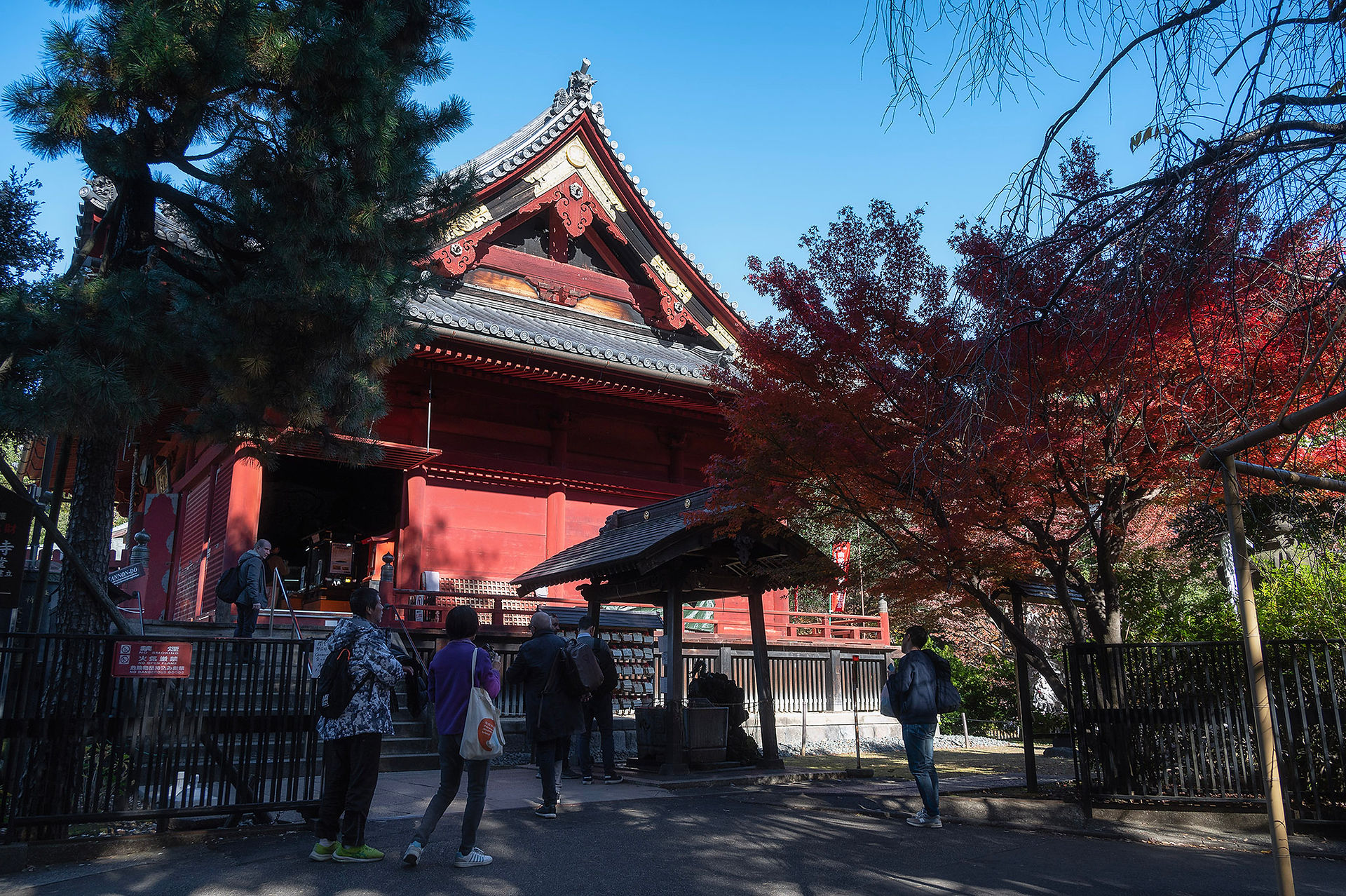 สวนอุเอโนะ โตเกียว ญี่ปุ่น ueno park tokyo japan