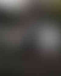 นกกระสา heron izu shaboten zoo