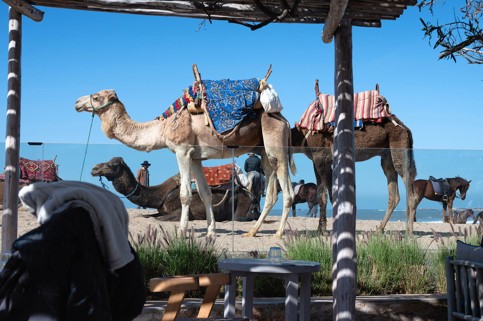 Essaouira morocco เอสเซาอิรา โมร็อกโก