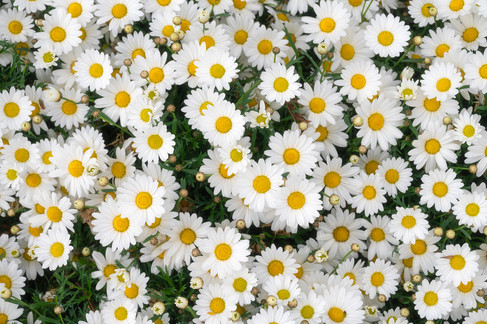 erhai lake dali ทะเลสาบเอ๋อไห่ ต้าหลี่