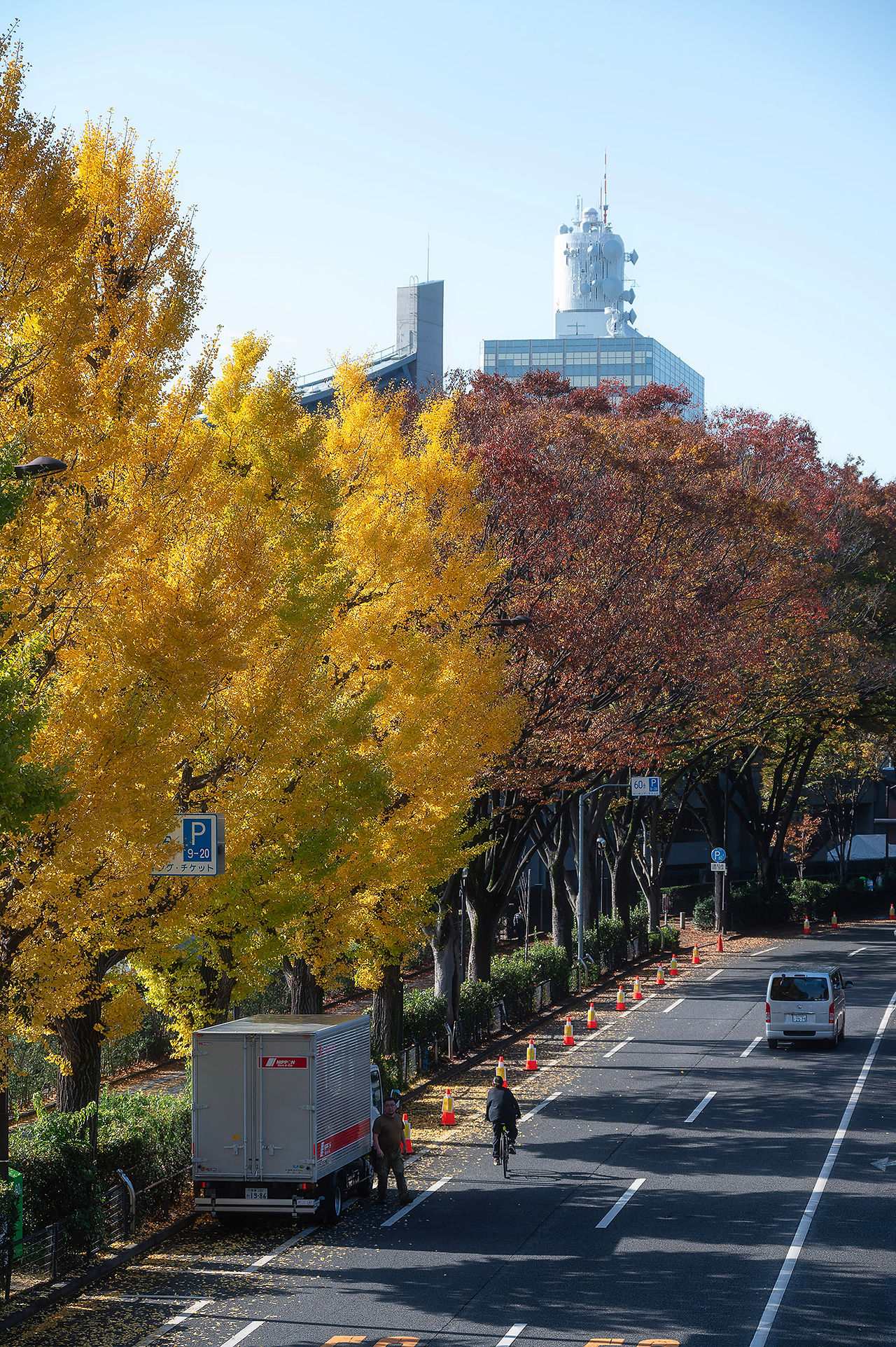 yoyogi park tokyo japan สวนโยโยกิ โตเกียว เที่ยวญี่ปุ่น