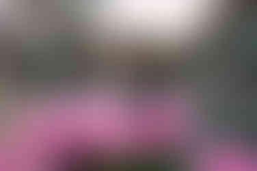 Kunming Old Street ถนนเก่าคุนหมิง