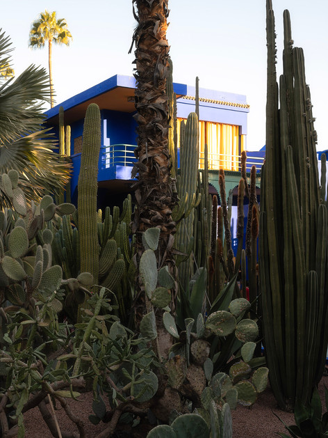 Jardin Majorelle