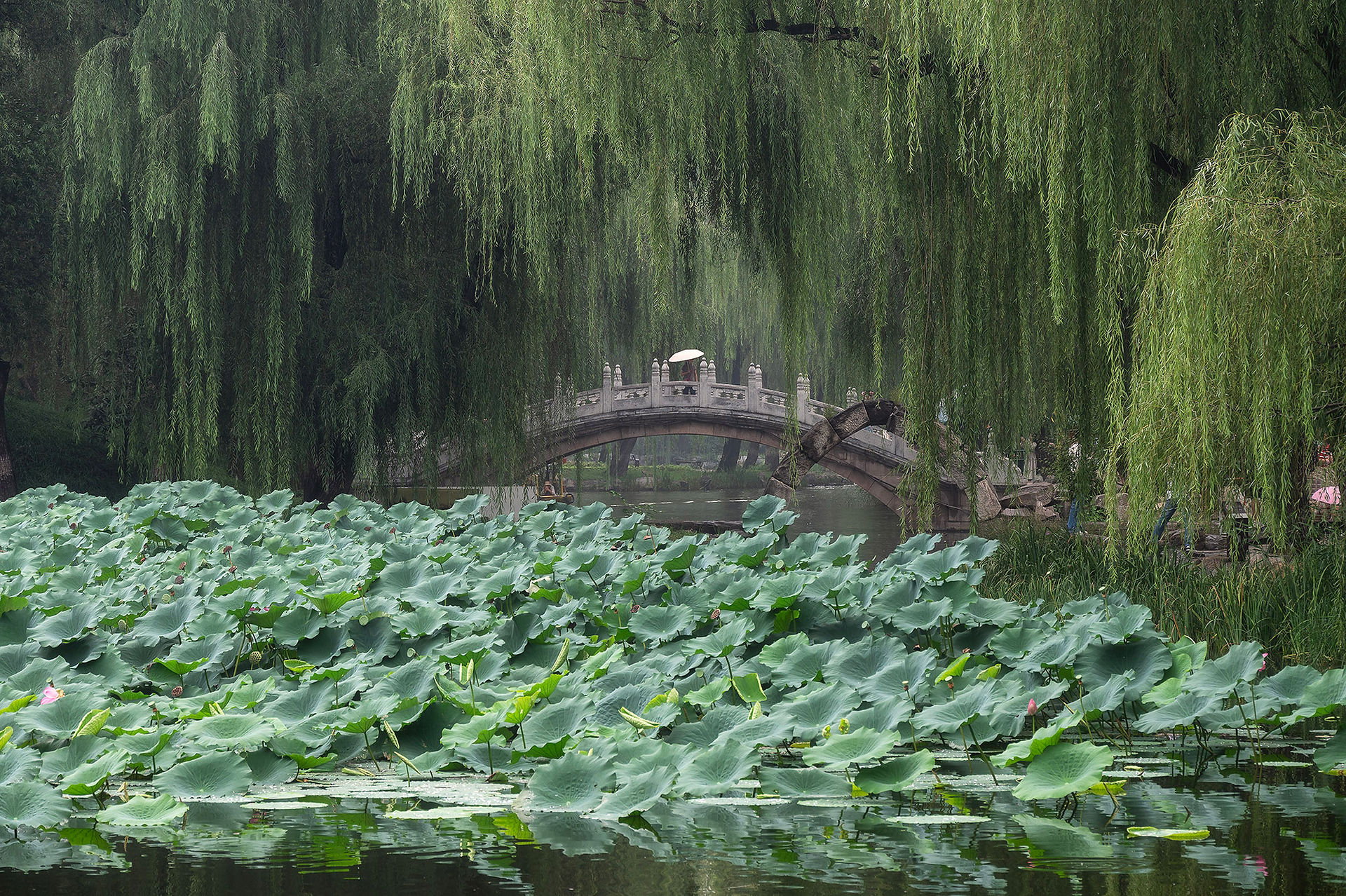 yuanmingyuan park พระราชวังฤดูร้อนเดิม ปักกิ่ง