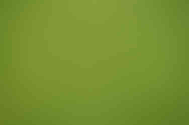 Kainokawa Rice Terraces