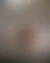 หนูน้ำ คาปิบาร่าแช่ออนเซ็น onsen capybara izu shaboten zoo