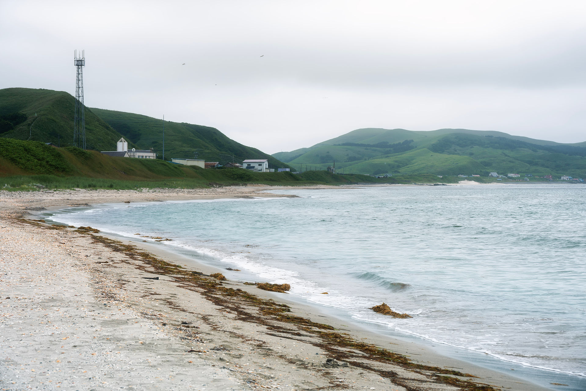 Seashells Beach Rebun Island Hokkaido Japan