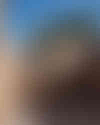 chellah rabat morocco