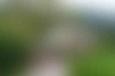 doi river niyodogawa kochi shikoku