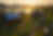 ChatGPT Image Sep 3, 2025, 05_22_44 PM.png