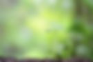 Screenshot 2025-09-21 at 11.29.02.png