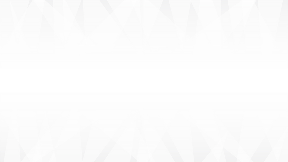 company values (1).pdf.png