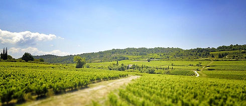 DOMAINE.jpg