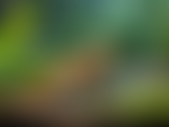 Exploring Dallas Reptile Rescue Options: A Guide to Finding Help for Your Scaly Friends