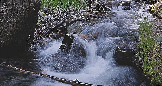 Untitled design (12).png