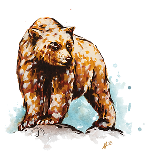 Bear Black Logo.png