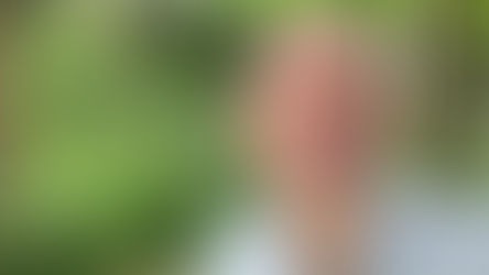 Video 6 Kunst vom Feinsten