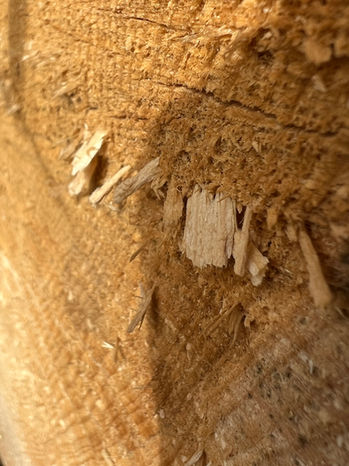 Holz