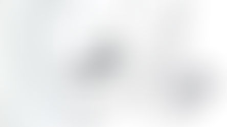 Entdecken Sie die faszinierende Zeichnung Herz und Herz x4 von Michael Watzinger auf A4 mit natürlicher Zeichenkohle