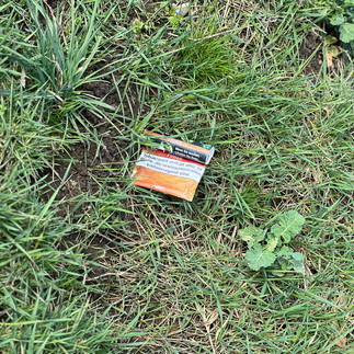 Der Hund findet  eine leere Packung Zigaretten