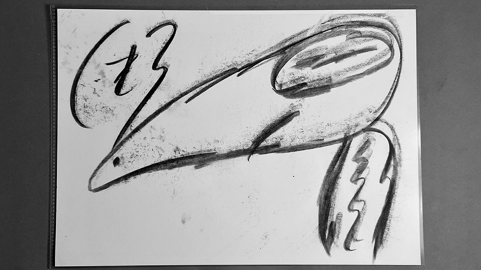 Langschnabel Zeichnung by Michail