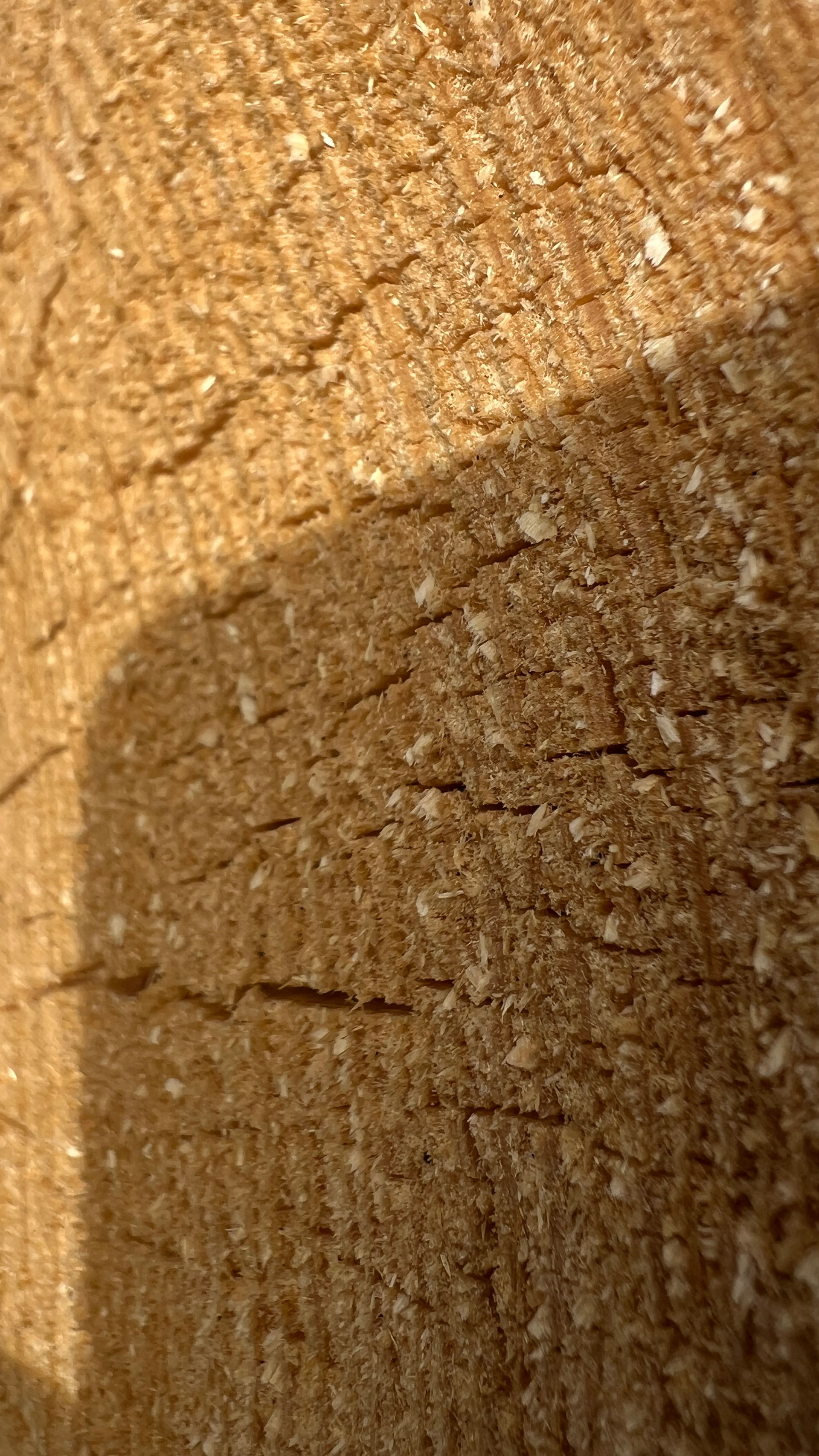 Brennholz vielleicht Fichte 