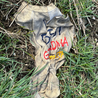 Der Hund findet ein altes shirt