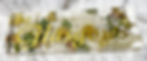 Signature Block
