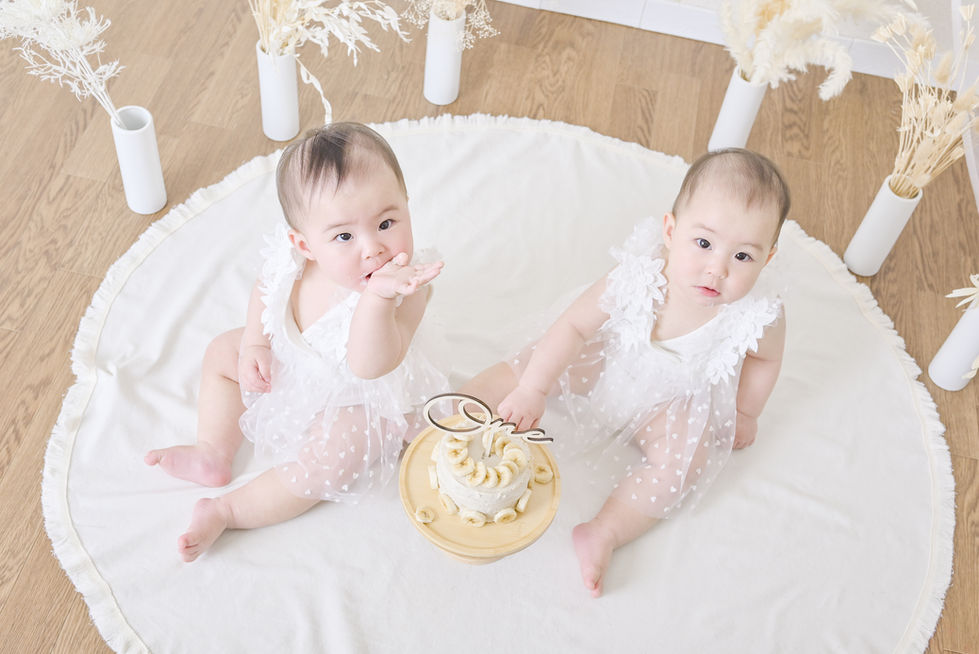 twins_e-27