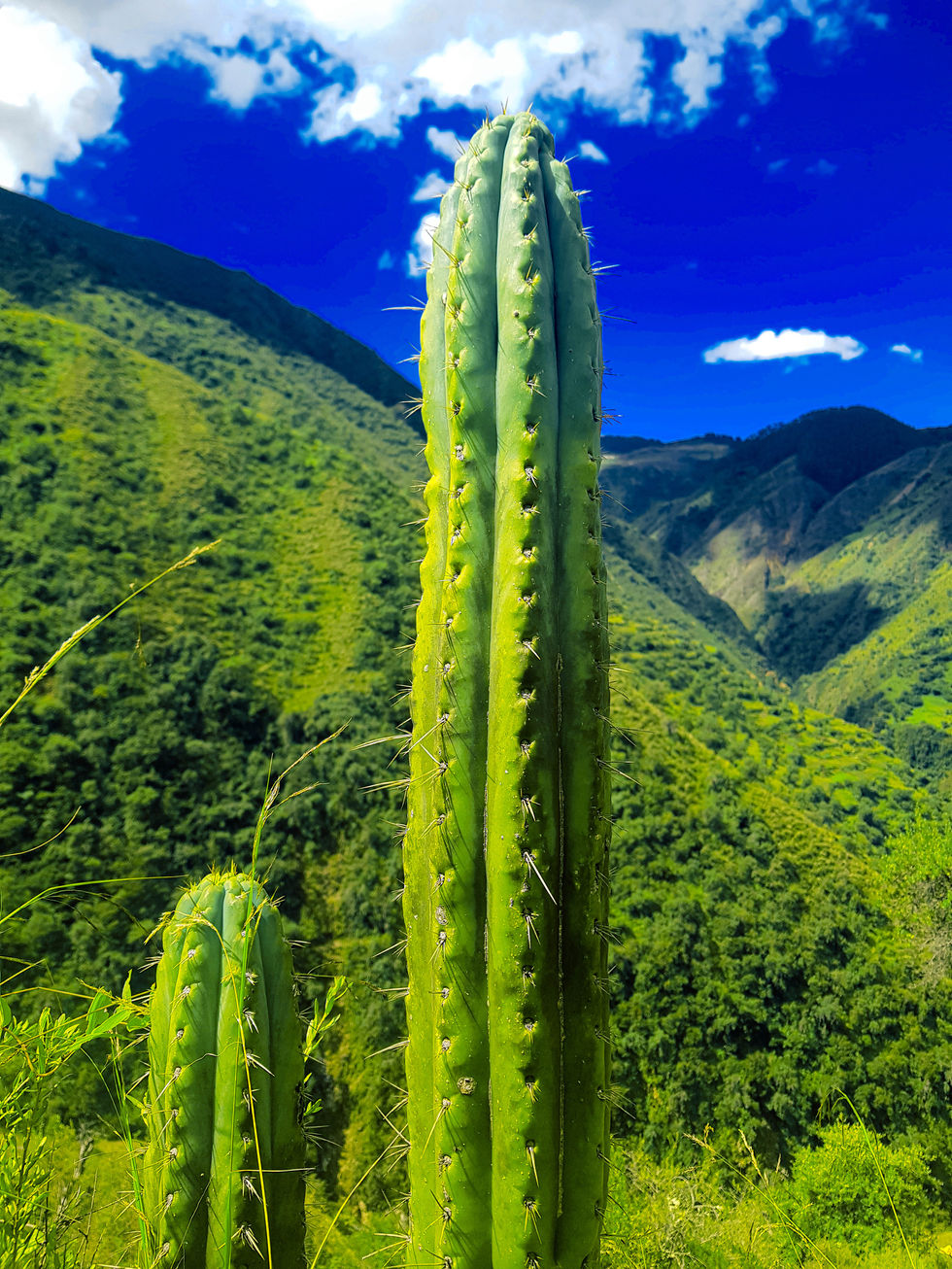 SAN JUAN DE PAMPA - CHACCRAMPA