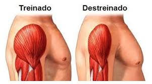 MUSCULAÇÃO EMAGRECE?