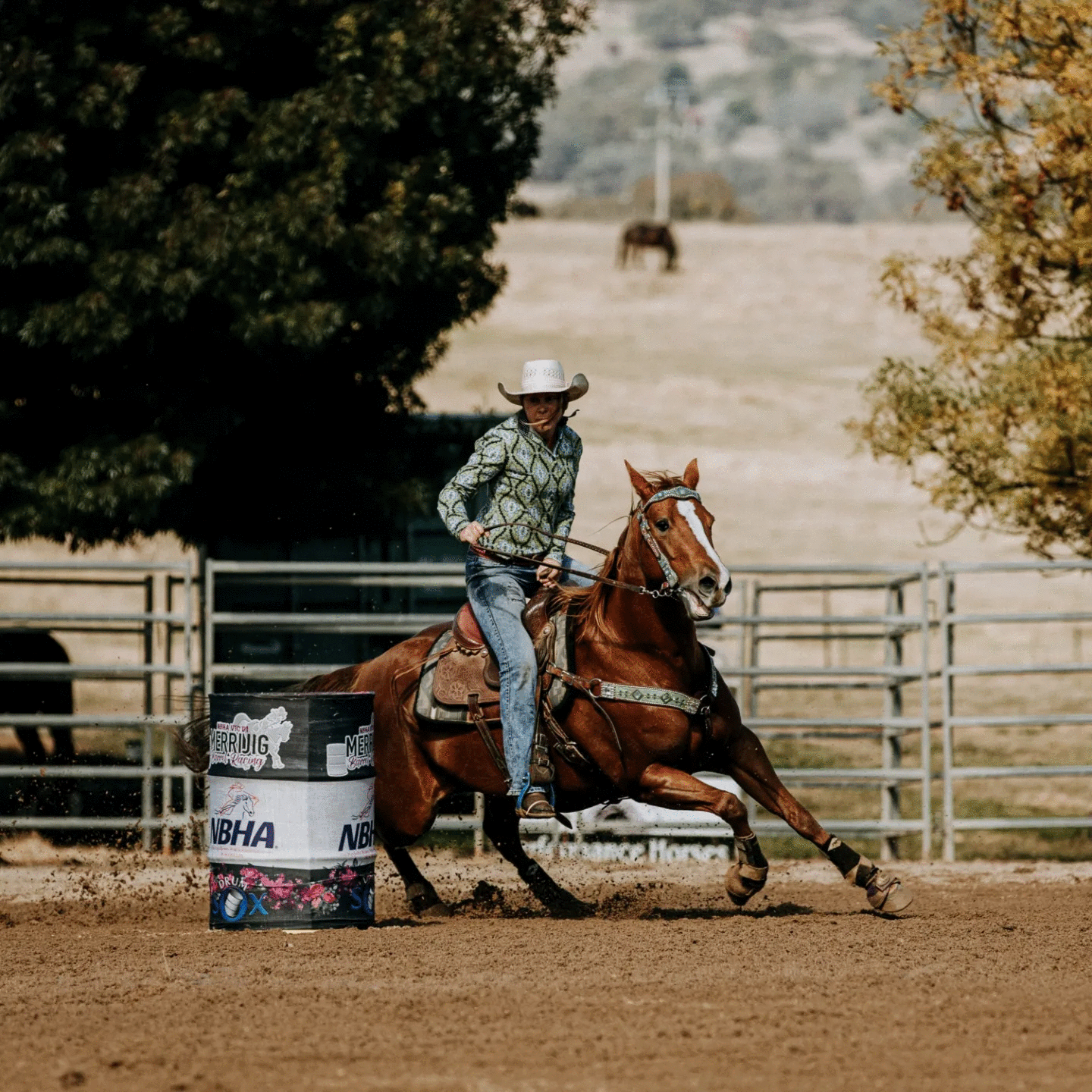 EquinePro Client