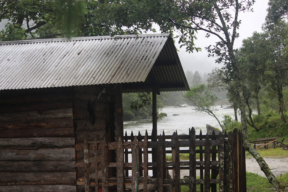 WhatsApp Image 2025-07-10 at 19.55.10_10e21876.jpg