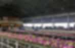 Packing Facility - AKC Orchids Thailand