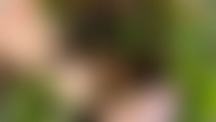 Basic Bioactive Tutorial