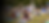 6Y0A6012_GRADIENT.png
