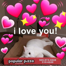 received_881338166156693.jpeg