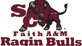 scfam big bulls 8 corr  big wt juco in bull wt lg bull  tm.png