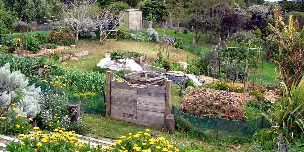 Stage de permaculture