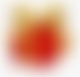 Holiday 2020 with FPOC