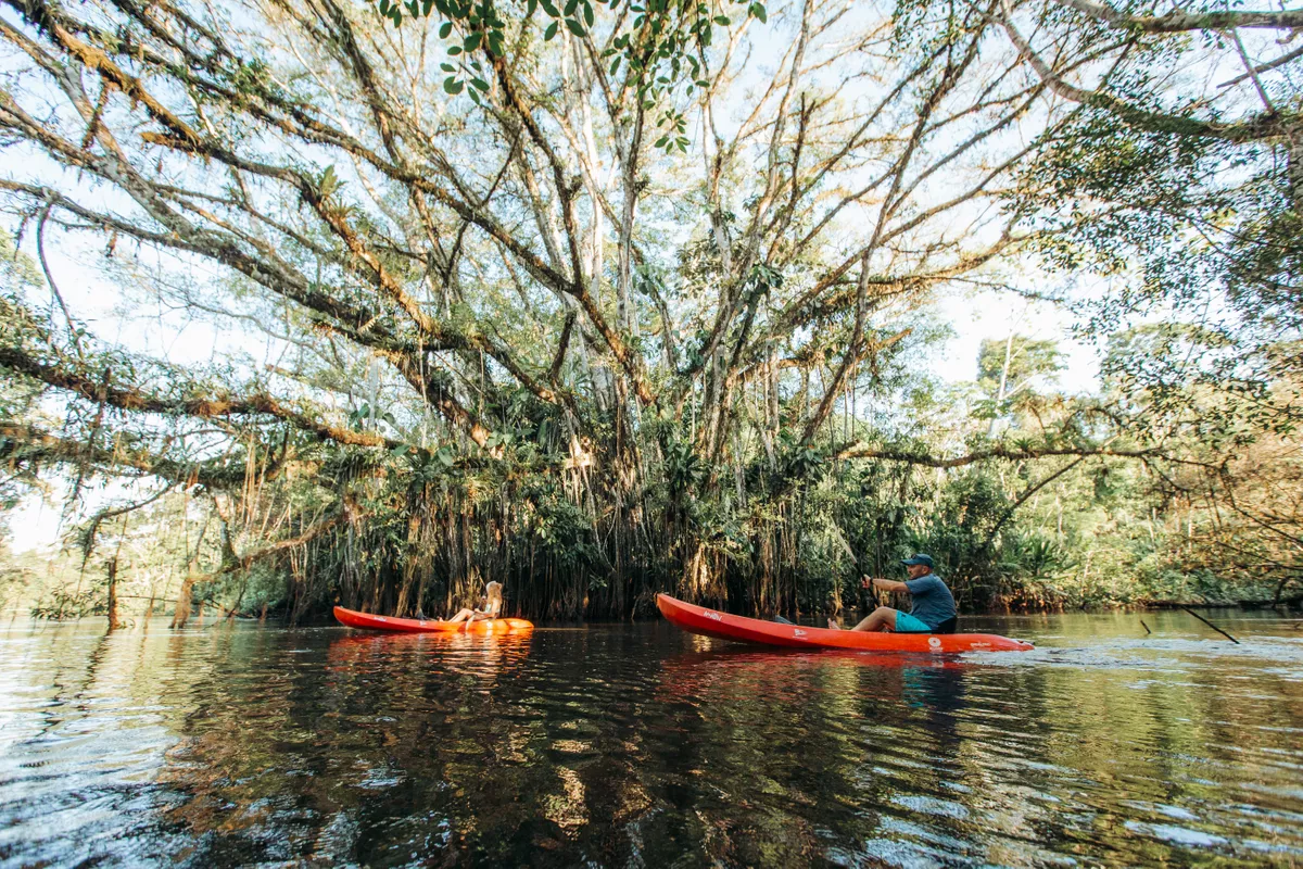 Kayak Kusutkau.webp