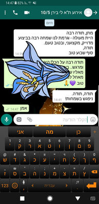 WhatsApp Image 2018-05-14 at 14.22.12.jpeg