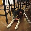 IMG_0788.png