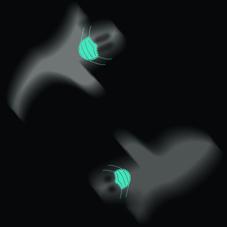 Webp.net-gifmaker.gif