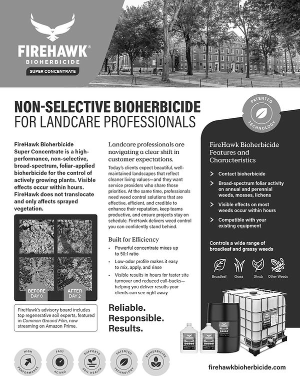 FIRE1.jpg