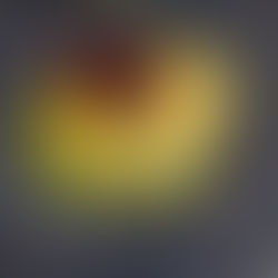 Rose de betterave sur lit de pomme de terre vegan