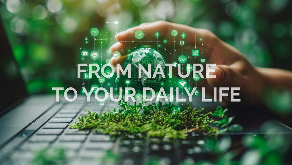 FromNature.jpg