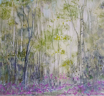 Sous-bois au printemps