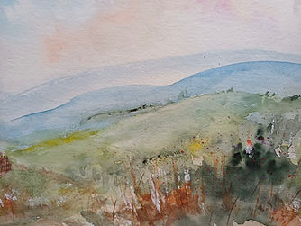 Sous-bois au printemps